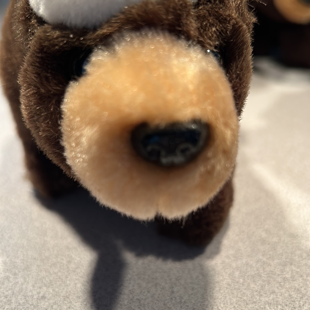 5 Precious Bank of the West Bear Ornaments - Picture 3 of 10